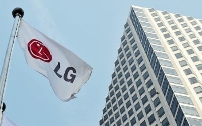 LG 계열사들 '왕좌의 게임'