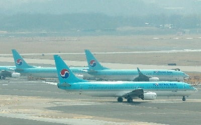 188명 탄 제주행 항공기 '버드 스트라이크'로 회항…부상자 없어