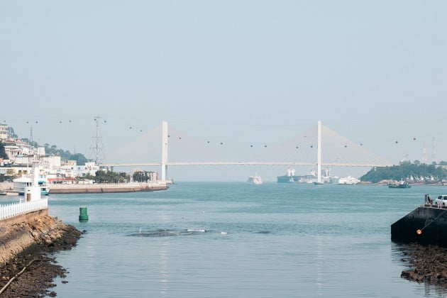 '벚꽃 밤바다 로망' 여수·순천… '세금 맛집' 1도 없다 [세금미식회]