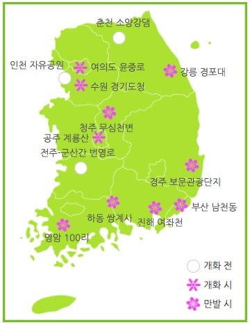 한반도 대부분 지역에 만개한 벚꽃. 사진=기상청 홈페이지