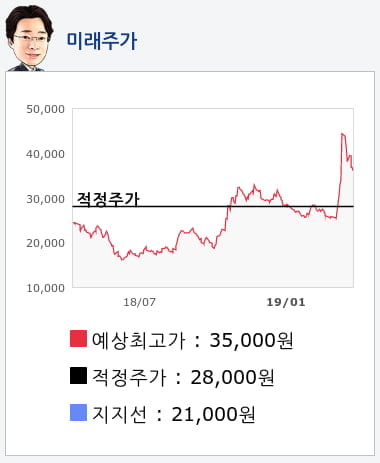 한진칼(180640) 종목알파고 분석, 외국인/기관 실시간 수급과 추가 매수 확률은?