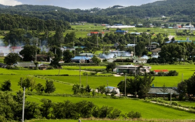 [부동산 법률방] 친구들과 '공동명의'로 땅 샀다가 후회막급입니다