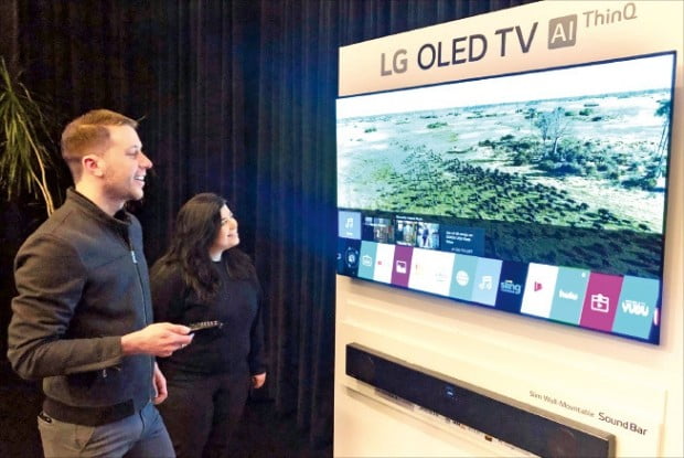 2019년형 LG 올레드(OLED) TV 체험행사가 지난 21일 미국 뉴욕에서 열렸다. 관람객들이 LG전자의 TV 신제품을 살펴보고 있다.     /LG전자 제공 