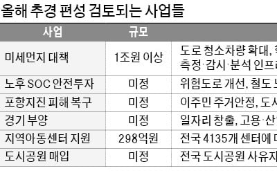 재원 부족한데…추경 '구색 맞추기' 사업 논란