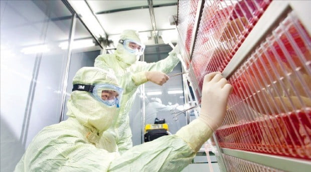 SK바이오사이언스 연구원이 안동공장에서 백신 제조공정을 점검하고 있다.  /SK바이오사이언스 제공 