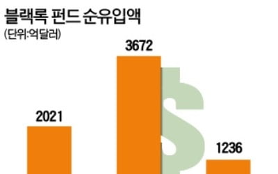 세계 최대 운용사 블랙록마저 "대체투자 강화"