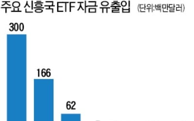 글로벌 ETF, 브라질엔 '물타기' 터키는 '손절'