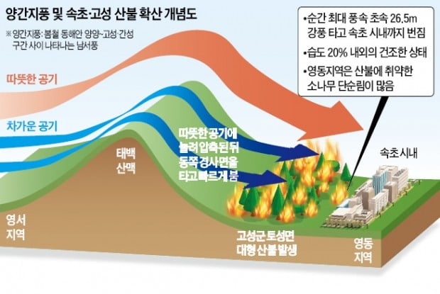 극심한 봄 가뭄에 '태풍급 양간지풍'이 火 키워