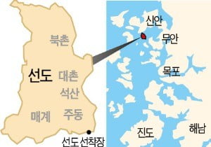 20년간 꽃일기 쓴 할머니의 초대, 수선화·동백·매화·천리향…꽃잔치에 봄내음이 물씬