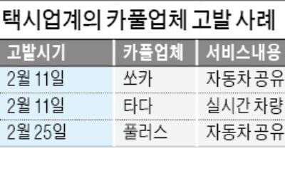 "세계적 추세" vs "운수질서 파괴"…법원도 엇갈리는 카풀 판결