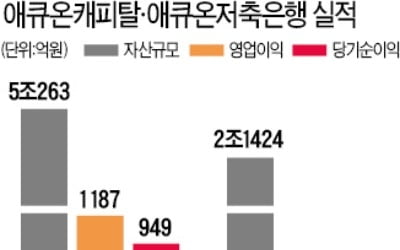 애큐온캐피탈·저축銀, 베어링PEA에 팔린다