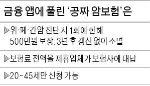 핀테크앱 '공짜 암보험' 경쟁…실속은?