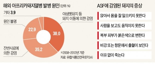 "돼지열병 유입 땐 끝장"…방역 비상벨 울린 정부