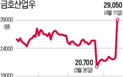 자구안 '퇴짜'에도…금호그룹株 일제히 상승