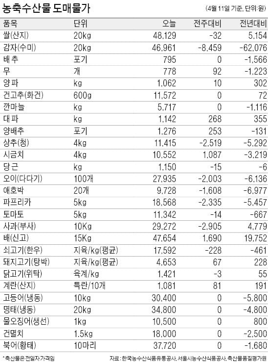 감자가격 3년 만에 안정…오이도 출하 늘어 가격↓