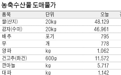 감자가격 3년 만에 안정…오이도 출하 늘어 가격↓