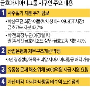 오너일가 지분 다 걸고 결단 내렸는데…벼랑 끝 몰린 박삼구