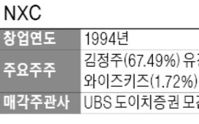 [마켓인사이트] 10兆 매물 넥슨, 내달 15일 본입찰