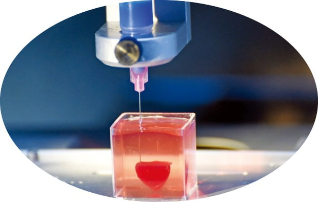 3D 프린터로 만든 인공심장 샘플…장기이식의 새 장을 열다
