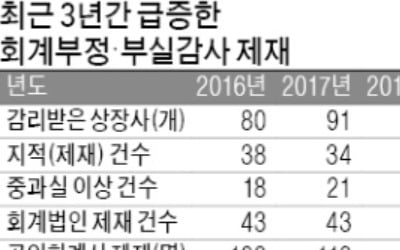 삼바 사태·바이오 감리…지난해 회계위반 제재 급증