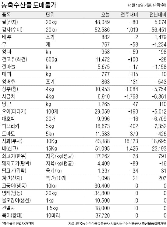 따뜻한 날씨에 나들이 늘어…국산 삼겹살 한달새 14%↑