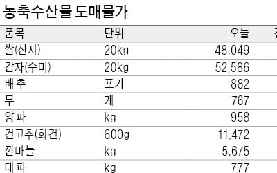 따뜻한 날씨에 나들이 늘어…국산 삼겹살 한달새 14%↑