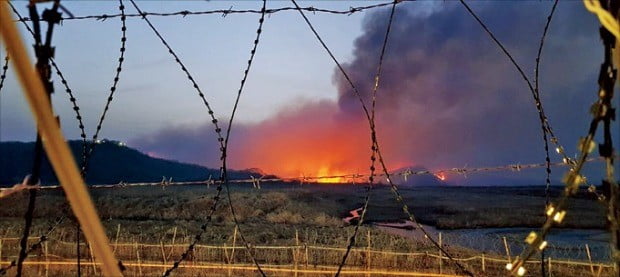 22일 오후 경기 연천군 비무장지대(DMZ) 군사분계선 일대에서 불이 났다. 불과 연기에 휩싸인 화재 현장. /연합뉴스 