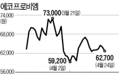 에코프로비엠 "中 시장 진출 대비, 공장 늘린다"