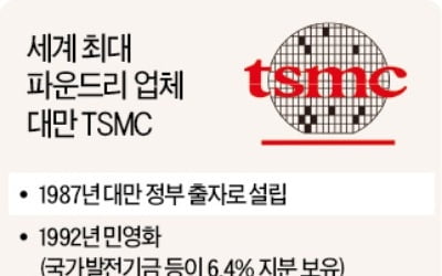 "대만 스타트업이 부럽다"…TSMC가 만든 비메모리 생태계