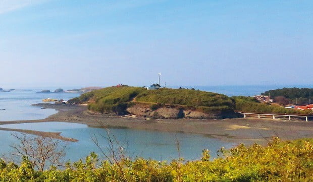 호수처럼 잔잔한 천수만 안에 있는 죽도는 섬 전체가 낮은 구릉과 평지라 섬 어디에서든 일출과 일몰을 볼 수 있다.  