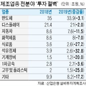 정부는 '성장률 쇼크' 해외 탓이라는데…"親노동 정책이 기업 설비투자 급감 불러"