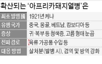 '치사율 100%' 아프리카돼지열병은 왜 백신이 없나