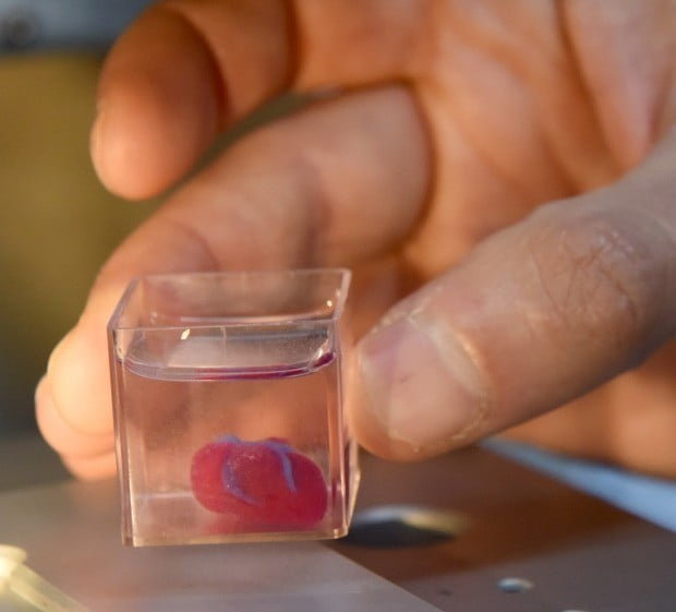 이스라엘 연구팀, 3D 프린팅으로 인공심장 제조 성공