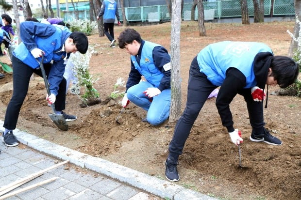 KCC, 나무심기 사회공헌 활동