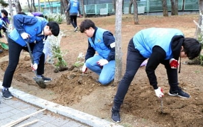 KCC, 나무심기 사회공헌 활동