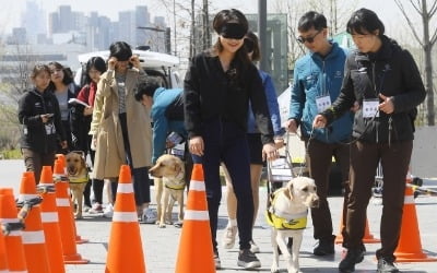 시각장애인 안내견 체험 보행