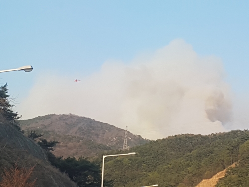 부산 해운대 산불 확산…불씨 바람 타고 수십ｍ 날아다녀