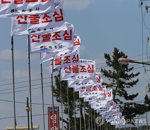 [강원산불] '이제서야 잦아드나'…강풍경보→주의보 대치