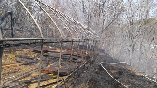 건조한 날씨 속 부산서 또 산불…임야 1천700㎡ 태워