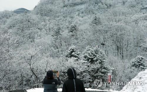 '봄 시샘 눈' 대관령 22.5㎝…강원 중부·산지 대설특보