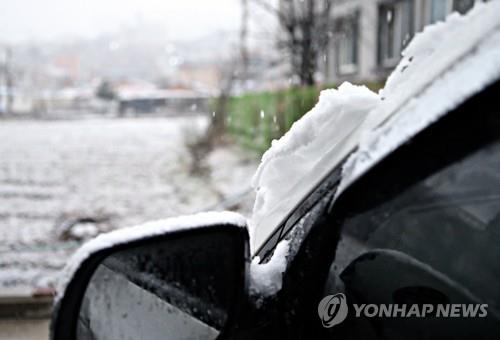 경북 북부 최대 25㎝ 폭설…시설 파손·정전 등 피해