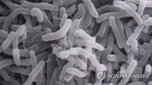 미국 CDC가 확산 경고한 '슈퍼버그', 우리는 안전한가