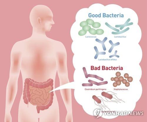 "분변 세균총 이식, 자폐아 증상 45% 줄어"
