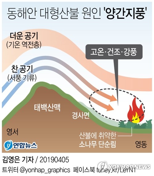 강릉산불 피해 250㏊로 늘어…인제 60％·강릉 30％ 진화