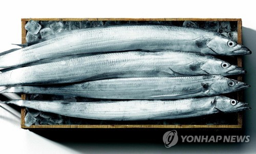 고등어는 역시 '국민 생선'…3년 연속 가장 좋아하는 수산물 1위