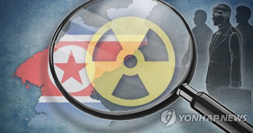 IAEA 사무총장 "비핵화 타결되면 수 주 안에 北에 사찰단 파견"