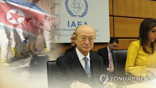 IAEA 사무총장 "비핵화 타결되면 수 주 안에 北에 사찰단 파견"