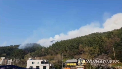 부산 해운대 산불 확산…불씨 바람 타고 수십ｍ 날아다녀