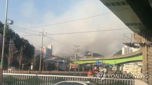 부산 해운대 산불 확산…불씨 바람 타고 수십ｍ 날아다녀