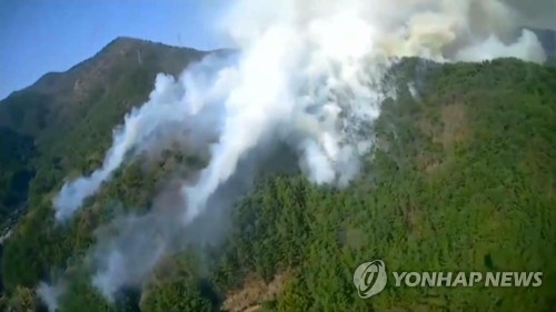 부산 해운대 산불 5ha가량 불타…밤새 추가 피해 우려